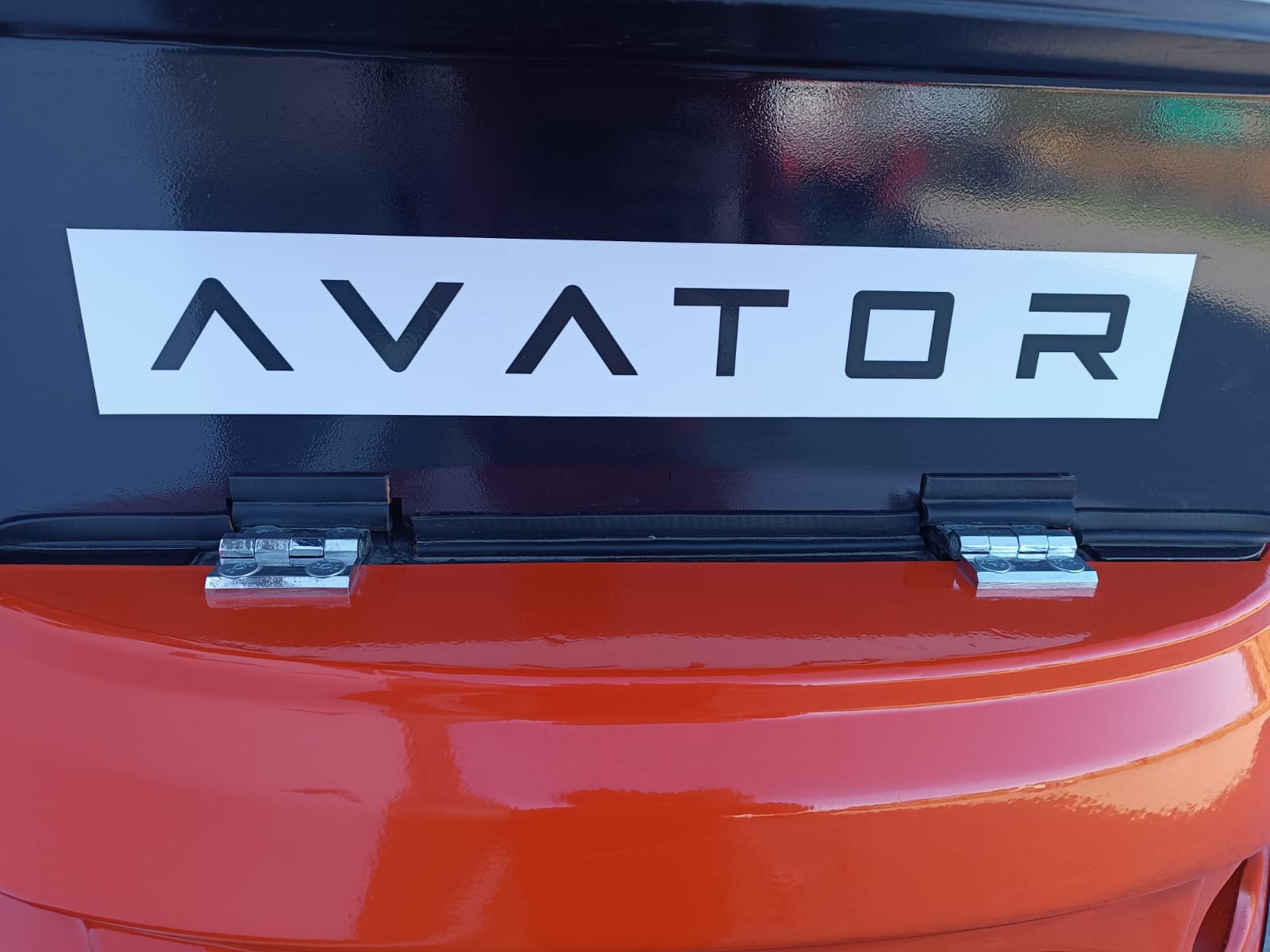 AVATOR SW 10